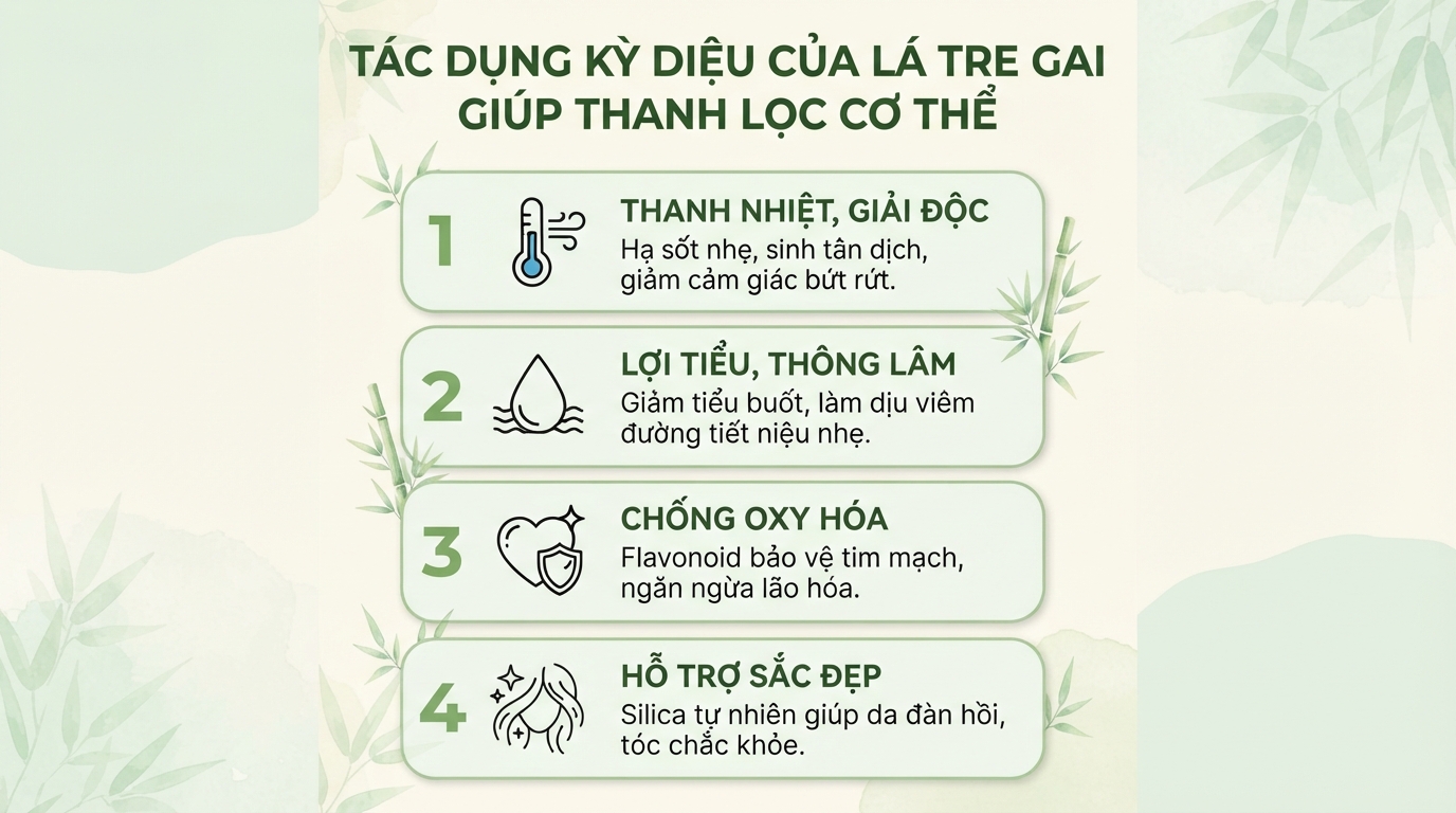 Lá tre gai: 7 tác dụng đối với sức khỏe và cách dùng hợp lý
