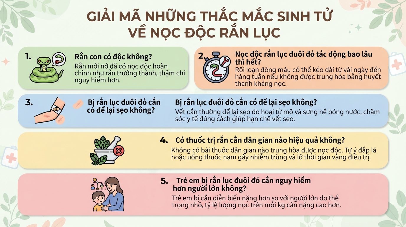 Rắn lục đuôi đỏ có độc không? Triệu chứng và cách sơ cứu