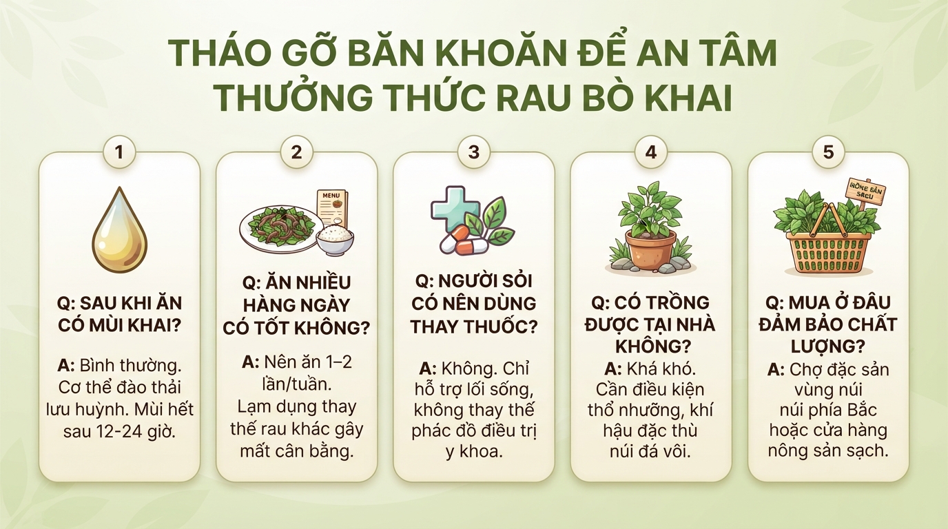 Rau bò khai: 5 tác dụng sức khỏe, cách chế biến và lưu ý khi dùng