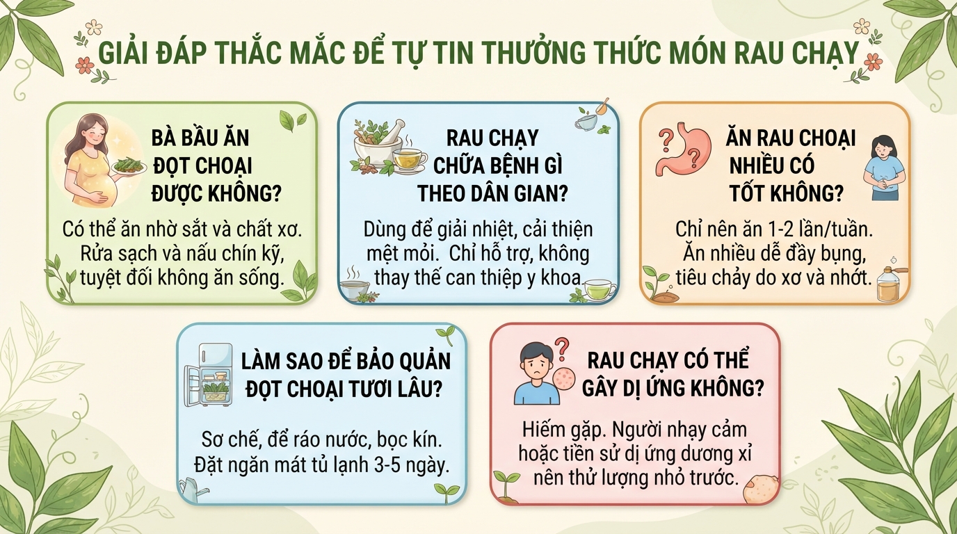 Rau chạy (đọt choại) là rau gì? 5 tác dụng sức khỏe và lưu ý dùng