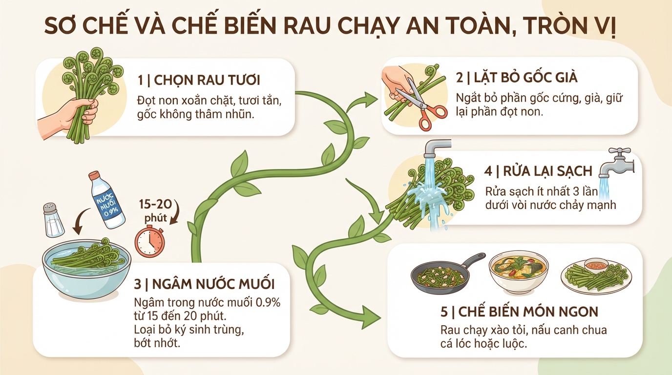 Rau chạy (đọt choại) là rau gì? 5 tác dụng sức khỏe và lưu ý dùng
