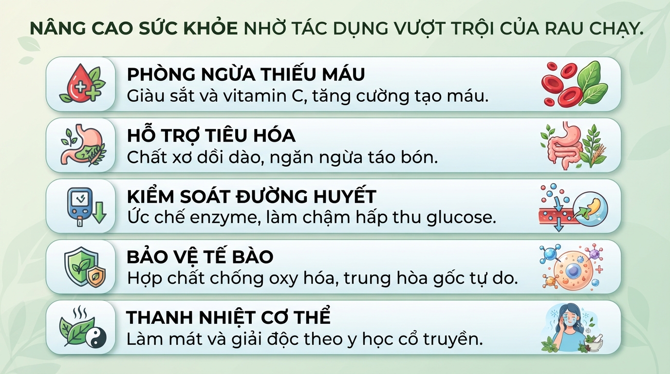 Rau chạy (đọt choại) là rau gì? 5 tác dụng sức khỏe và lưu ý dùng