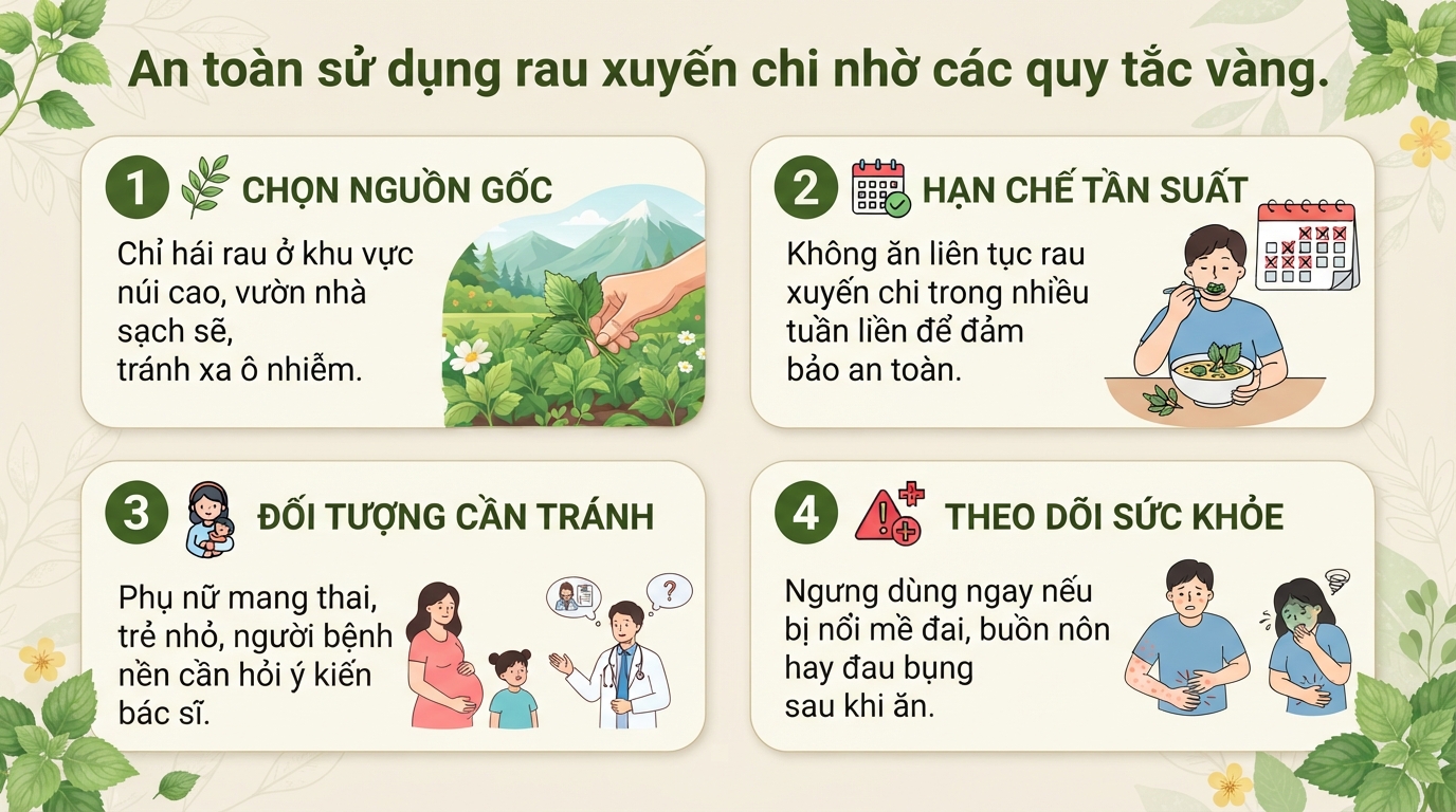 Tác hại của rau xuyến chi và những đối tượng cần thận trọng