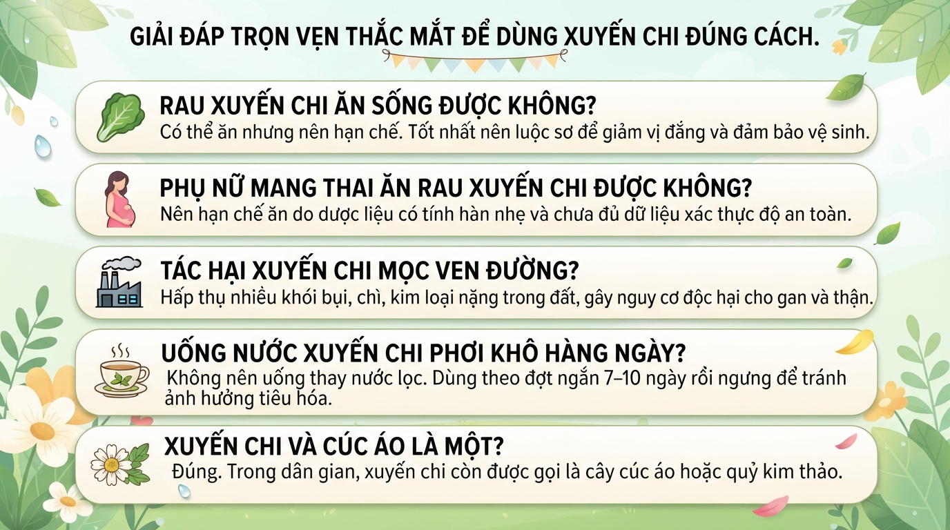 Tác hại của rau xuyến chi và những đối tượng cần thận trọng