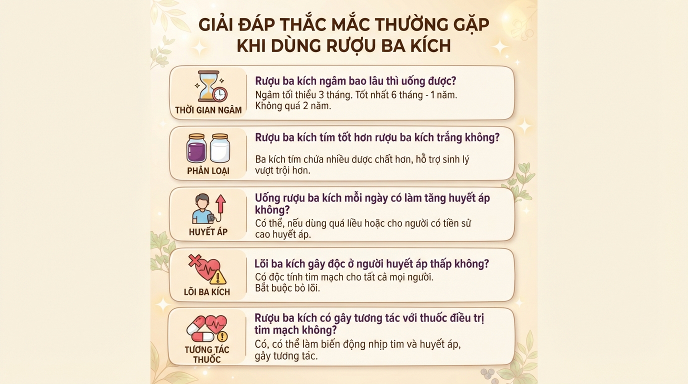Rượu ba kích: Công dụng, cách ngâm và lưu ý an toàn khi sử dụng