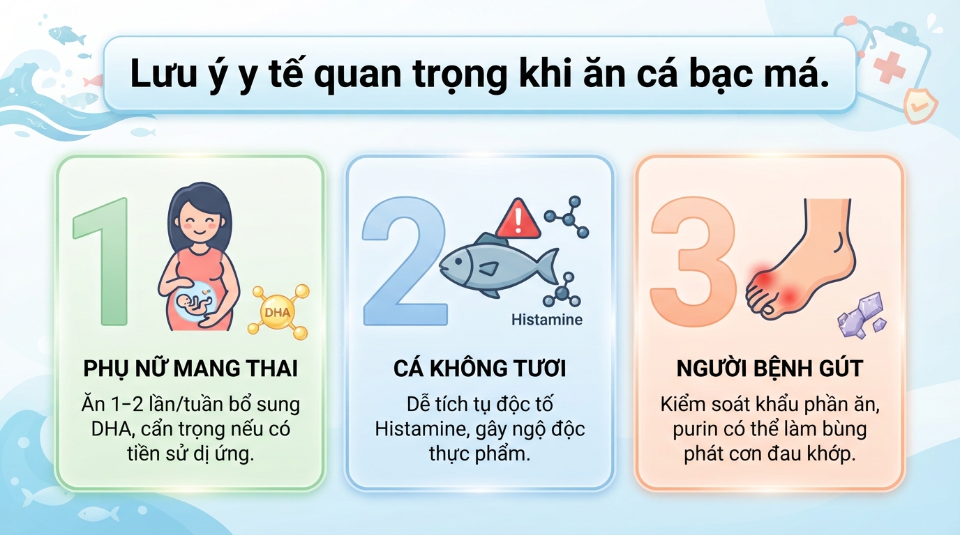 Cá bạc má có tác dụng gì? Giá trị dinh dưỡng và lợi ích sức khoẻ
