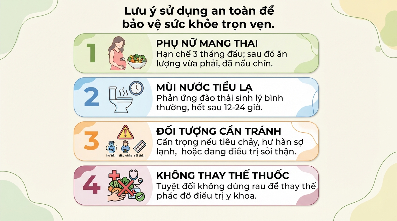 Rau bò khai: 5 tác dụng sức khỏe, cách chế biến và lưu ý khi dùng