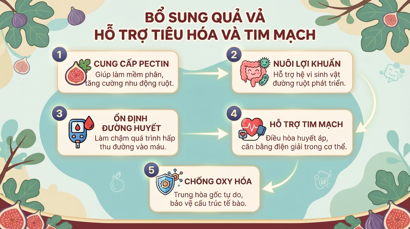 Quả vả là gì? Giá trị dinh dưỡng, tác dụng và cách sử dụng đúng cách