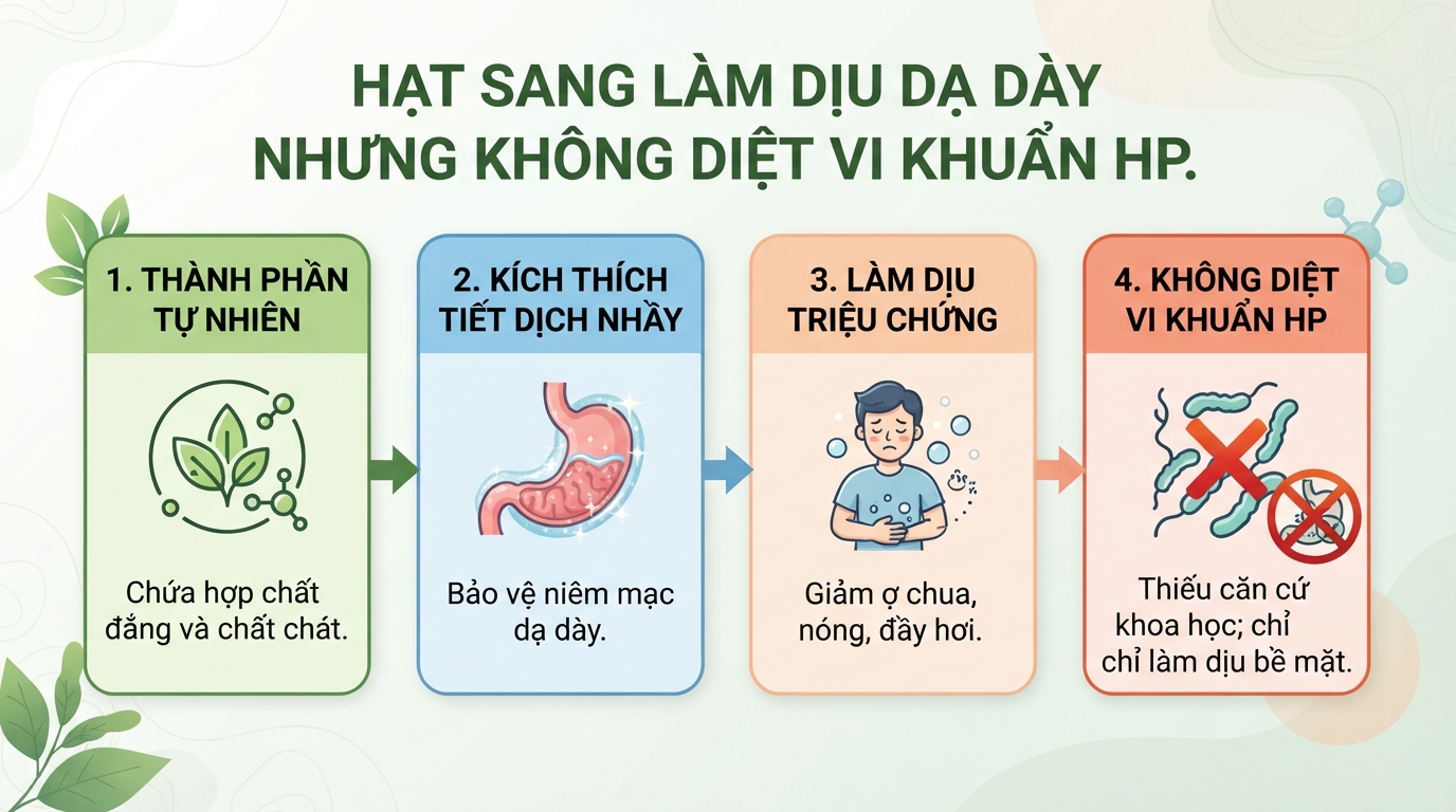 Hạt sang: Công dụng dân gian và lưu ý khi sử dụng