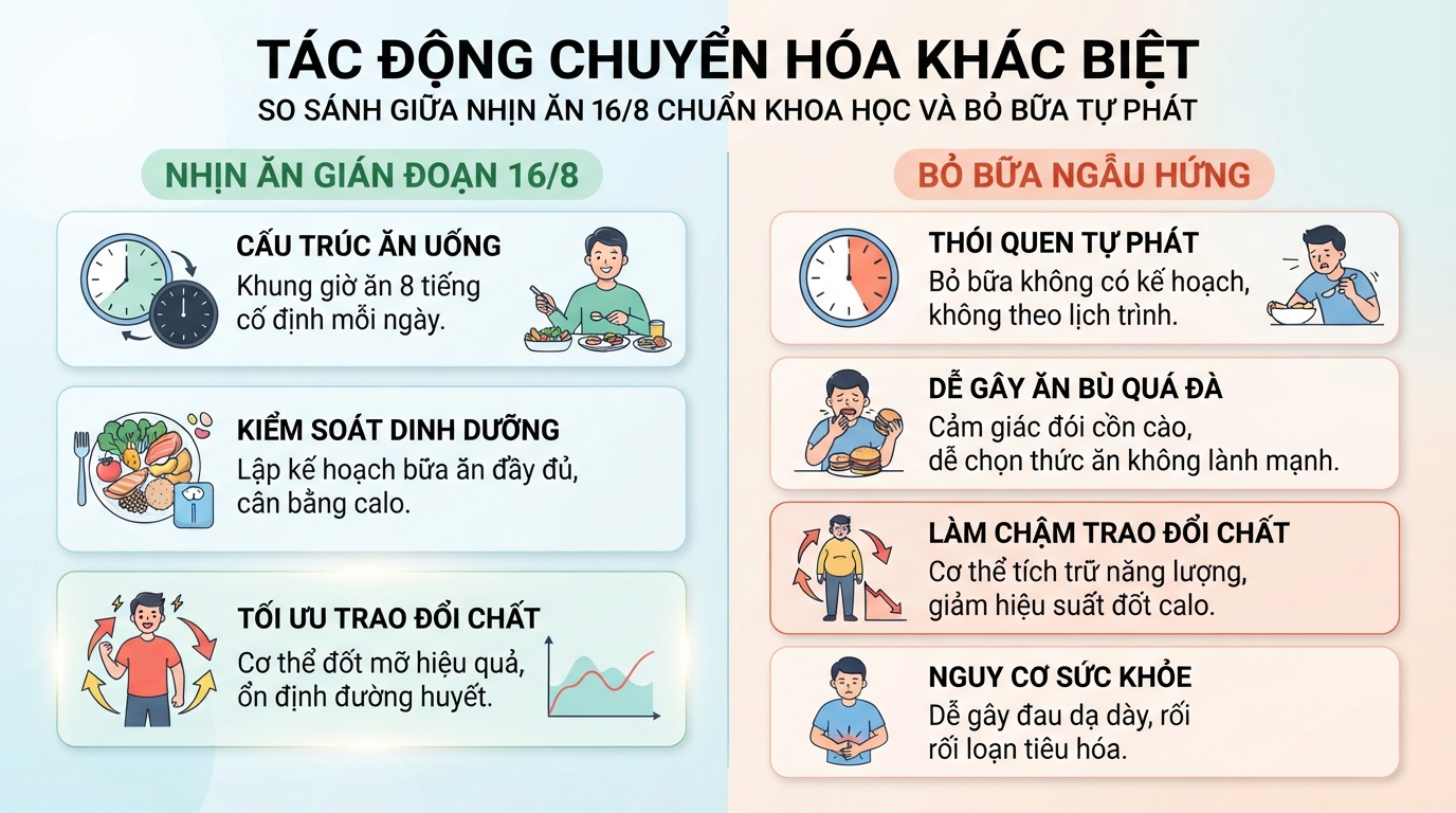 Tác động chuyển hóa khác biệt giữa nhịn ăn gián đoạn 16/8 và bỏ bữa ngẫu hứng.