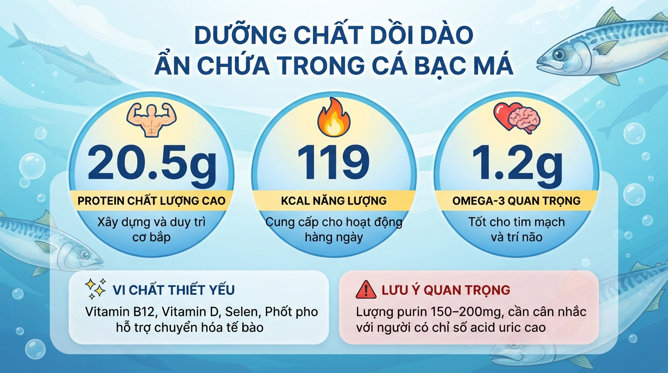Cá bạc má có tác dụng gì? Giá trị dinh dưỡng và lợi ích sức khoẻ