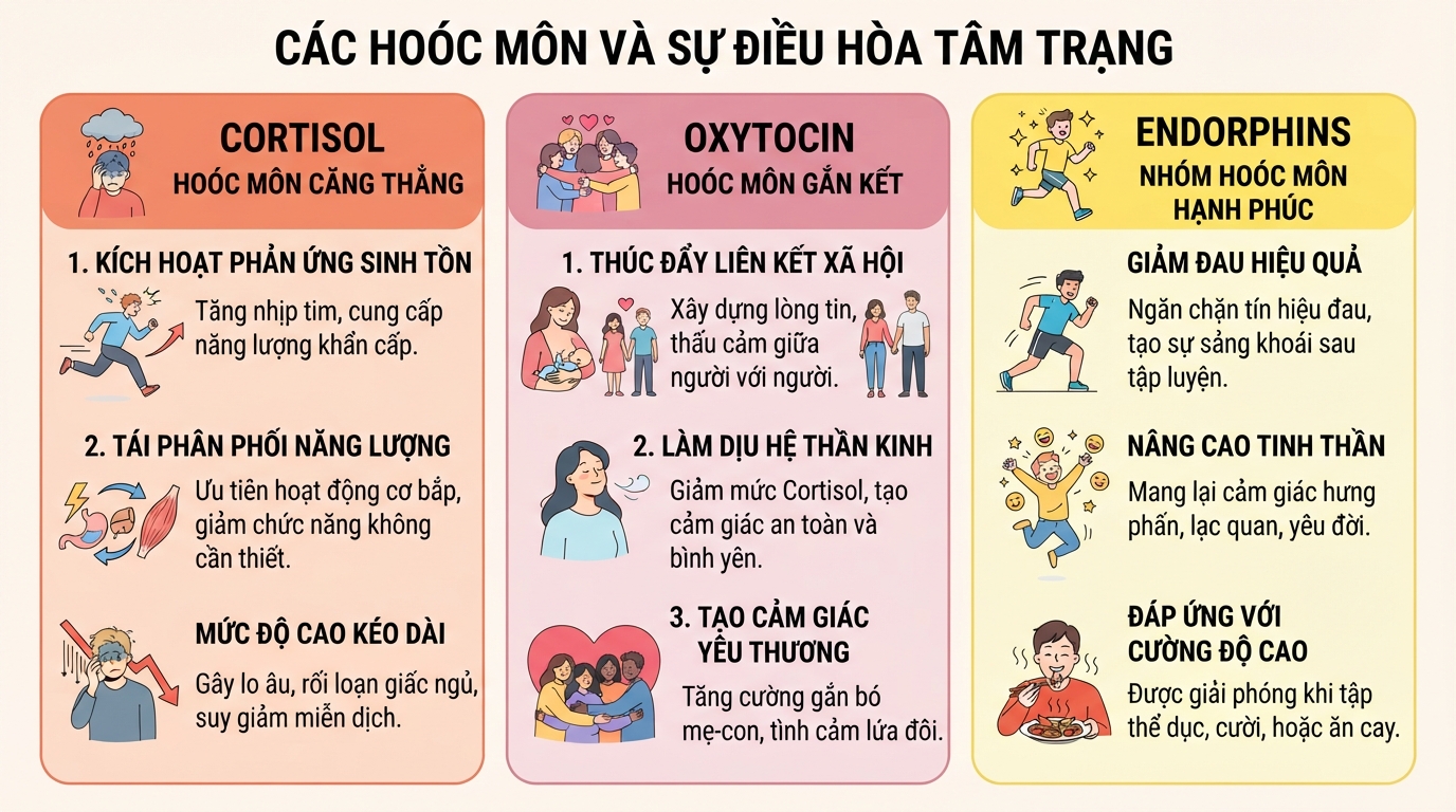 Tác động điều hòa trạng thái tâm lý của hoóc môn cortisol, oxytocin và endorphin.