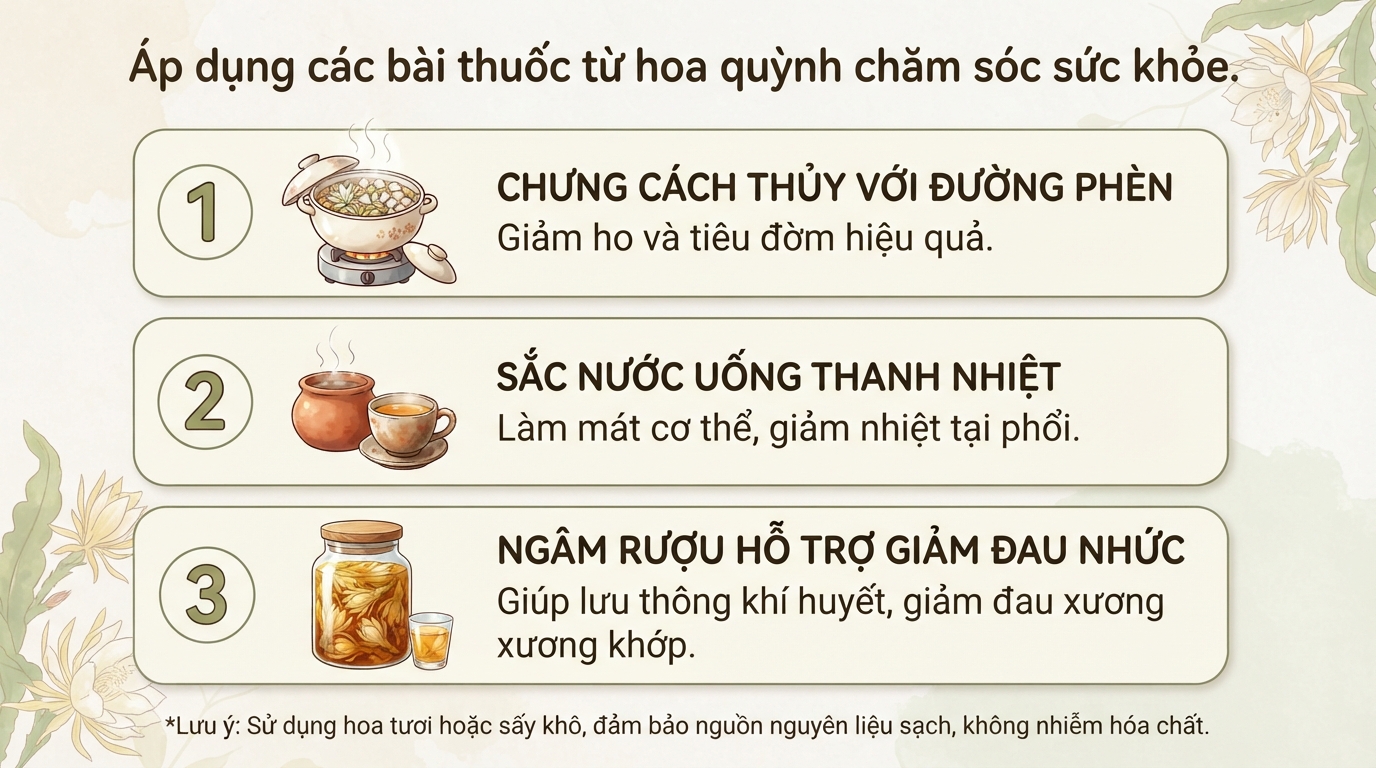 Hoa quỳnh: Đặc điểm, ý nghĩa và ứng dụng trong Y học cổ truyền