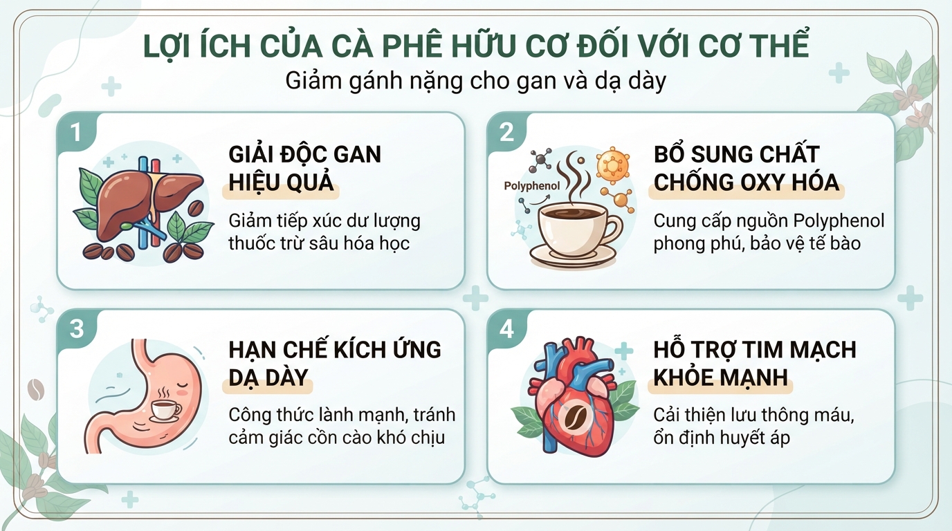 Thói quen uống cà phê hữu cơ giúp giảm gánh nặng cho gan và dạ dày.