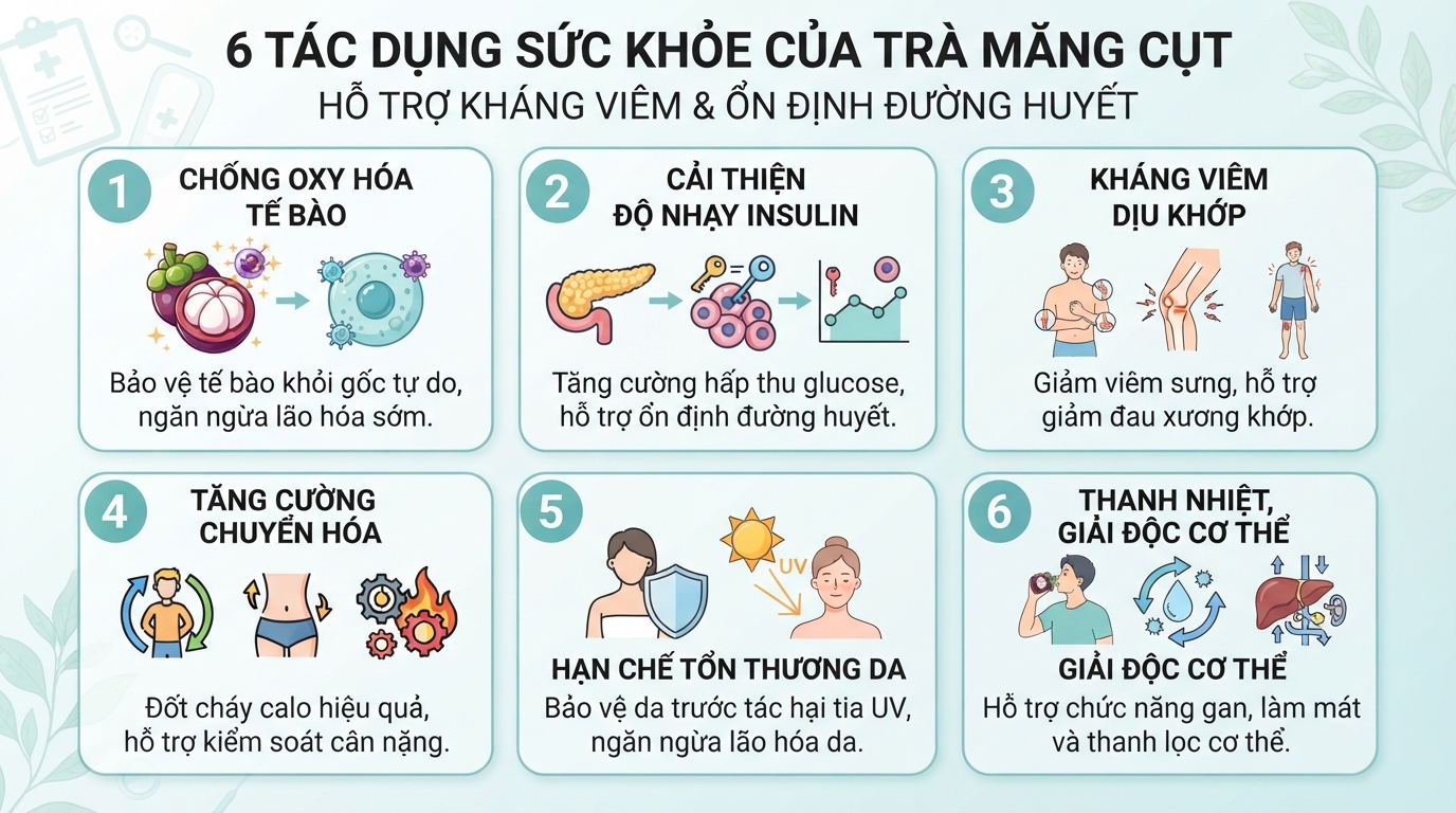 Thức uống hỗ trợ kháng viêm tự nhiên và duy trì chỉ số đường huyết ở mức ổn định.