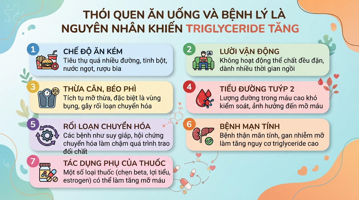 Triglyceride là gì? Ý nghĩa các mức chỉ số mỡ máu và cách kiểm soát