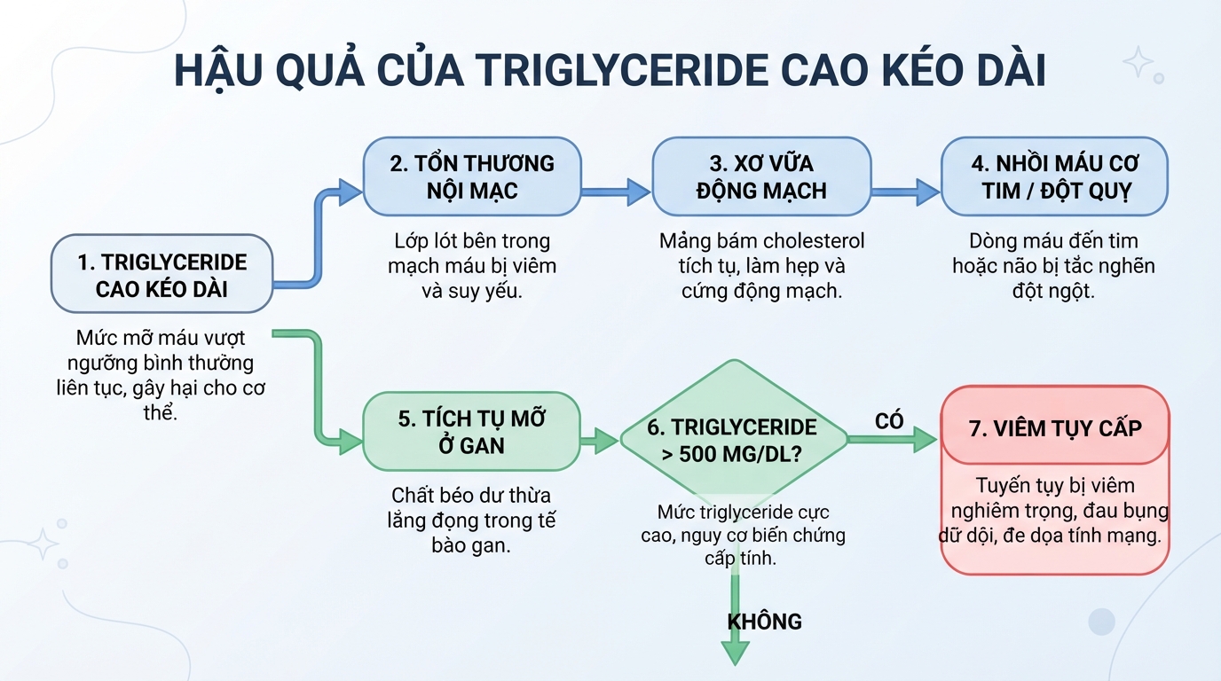 Tiến trình gây xơ vữa động mạch và biến chứng nguy hiểm lên tụy, gan.