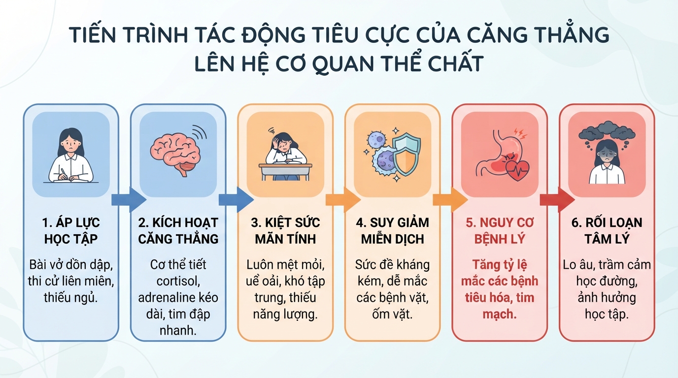Tiến trình tác động tiêu cực của căng thẳng lên hệ cơ quan thể chất.
