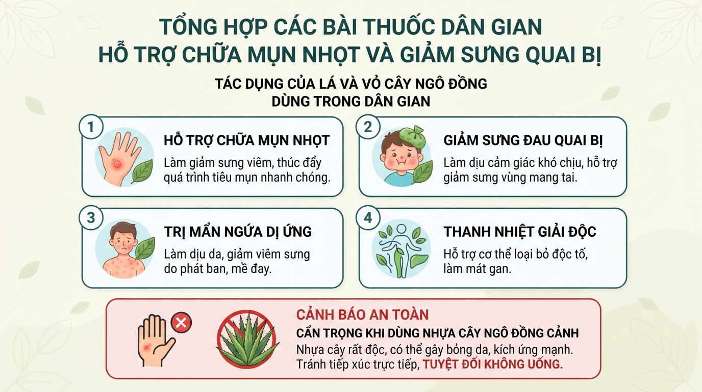 Tổng hợp các bài thuốc dân gian hỗ trợ chữa mụn nhọt và giảm sưng quai bị.