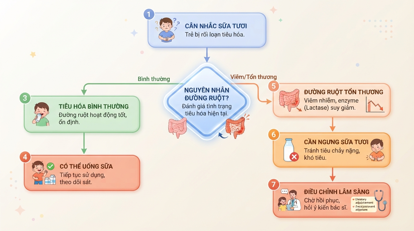 Cân nhắc trẻ bị rối loạn tiêu hóa có nên uống sữa tươi dựa theo nguyên nhân đường ruột. Cân nhắc trẻ bị rối loạn tiêu hóa có nên uống sữa tươi dựa theo nguyên nhân đường ruột.