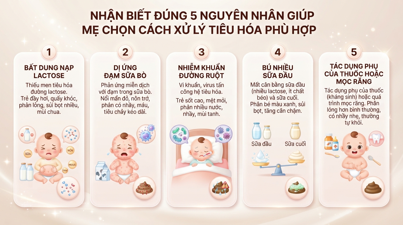Nhận biết đúng 5 nguyên nhân giúp mẹ chọn cách xử lý tiêu hóa phù hợp.
