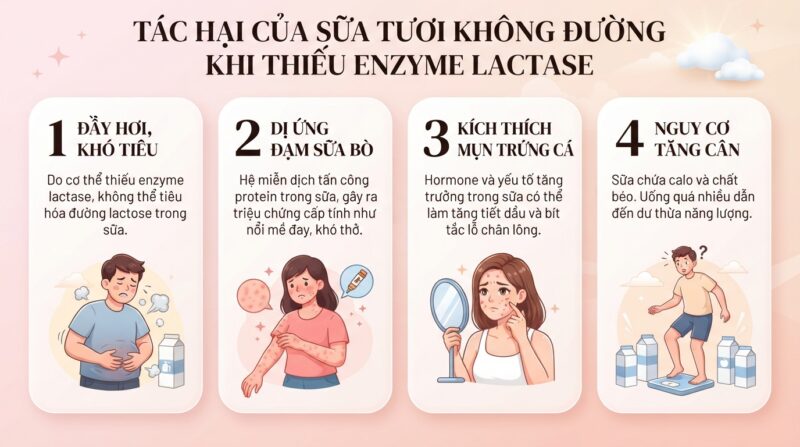 Tác hại của sữa tươi không đường phổ biến khi cơ thể thiếu hụt enzyme lactase. Tác hại của sữa tươi không đường phổ biến khi cơ thể thiếu hụt enzyme lactase.