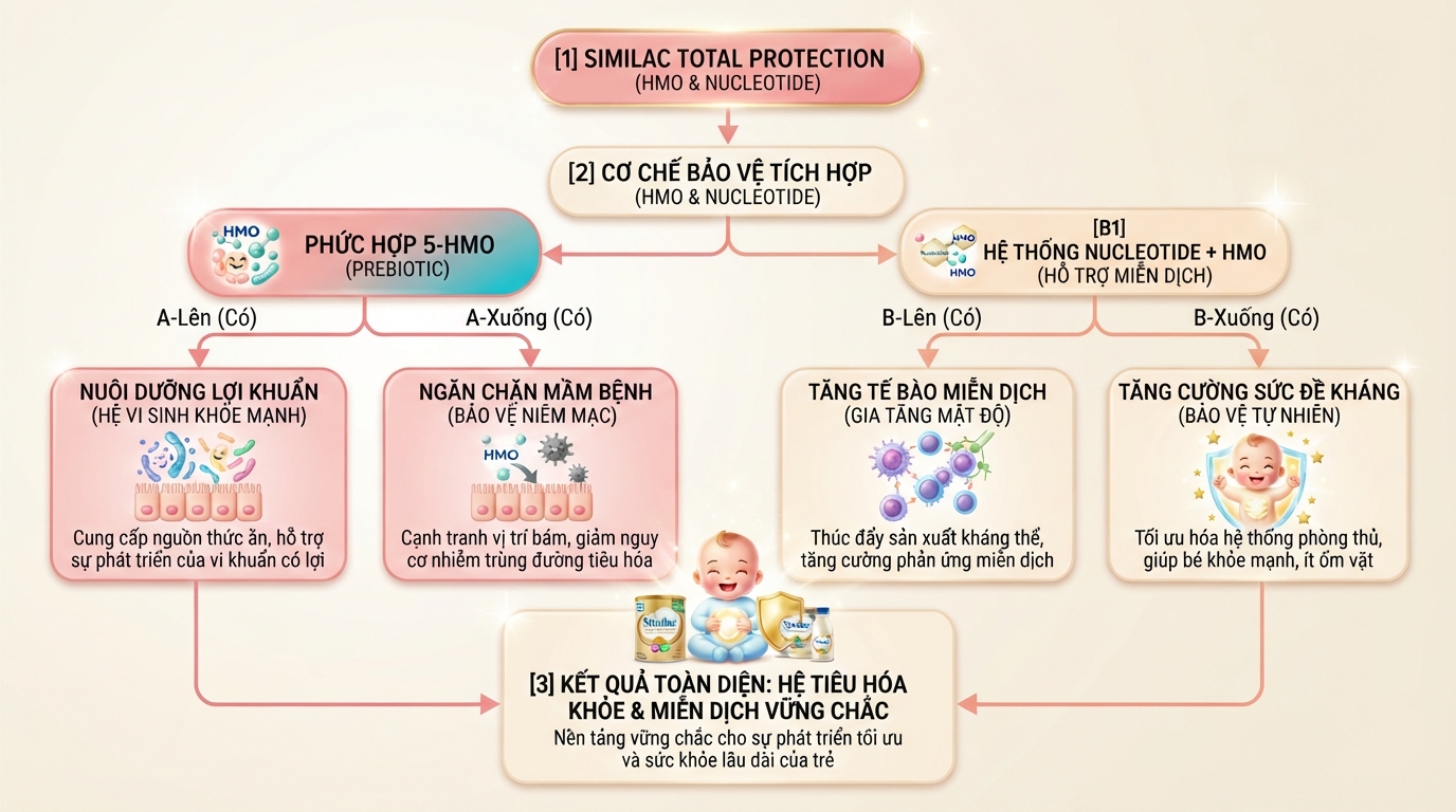 Thành phần sữa similac total protection bổ sung HMO và Nucleotide giúp nuôi dưỡng vi khuẩn đường ruột.