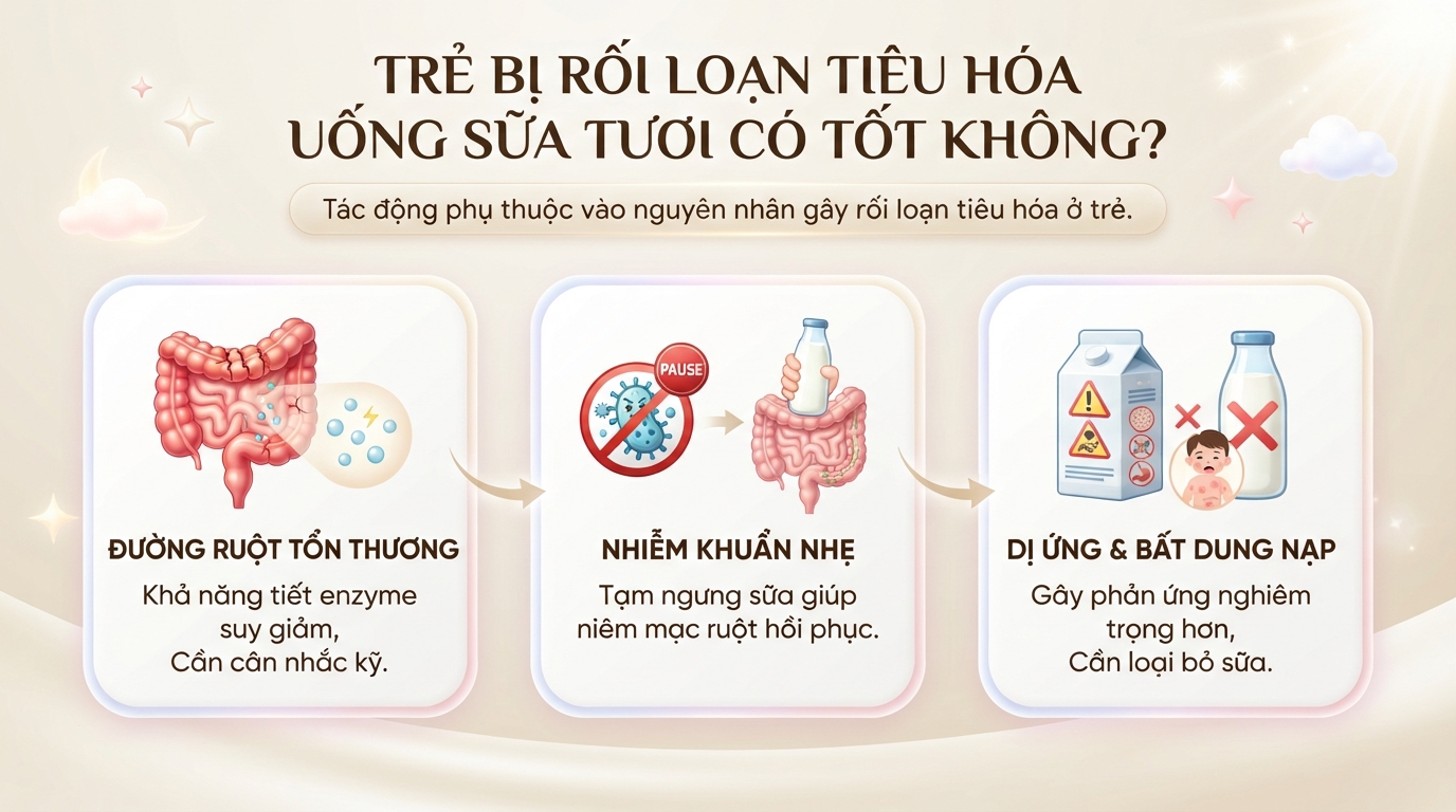 Trẻ bị rối loạn tiêu hóa có nên uống sữa tươi không? Lưu ý ba mẹ nên biết