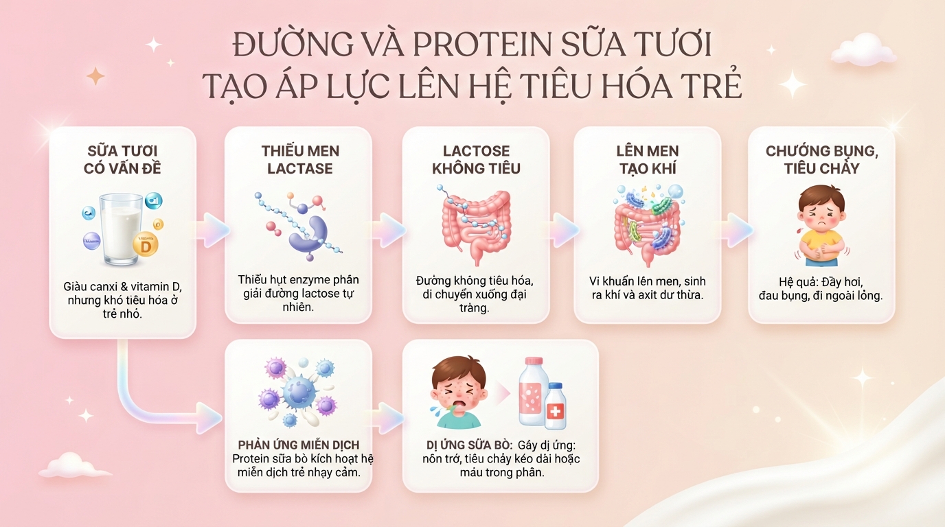 Trẻ bị rối loạn tiêu hóa có nên uống sữa tươi không? Lưu ý ba mẹ nên biết