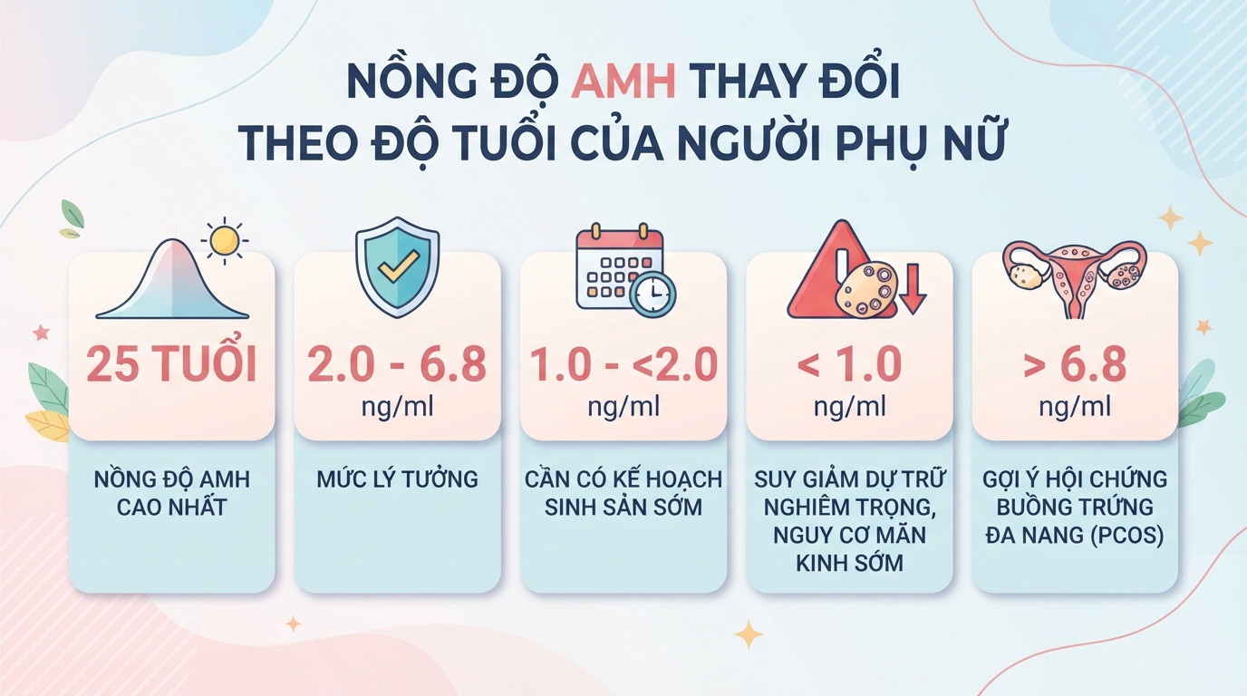 Xét nghiệm AMH là gì? Ý nghĩa chỉ số dự trữ buồng trứng