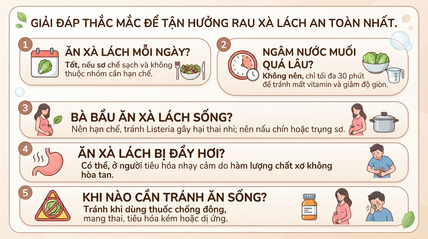 Ăn rau xà lách sống có tốt không? Lợi ích và lưu ý để tránh ngộ độc