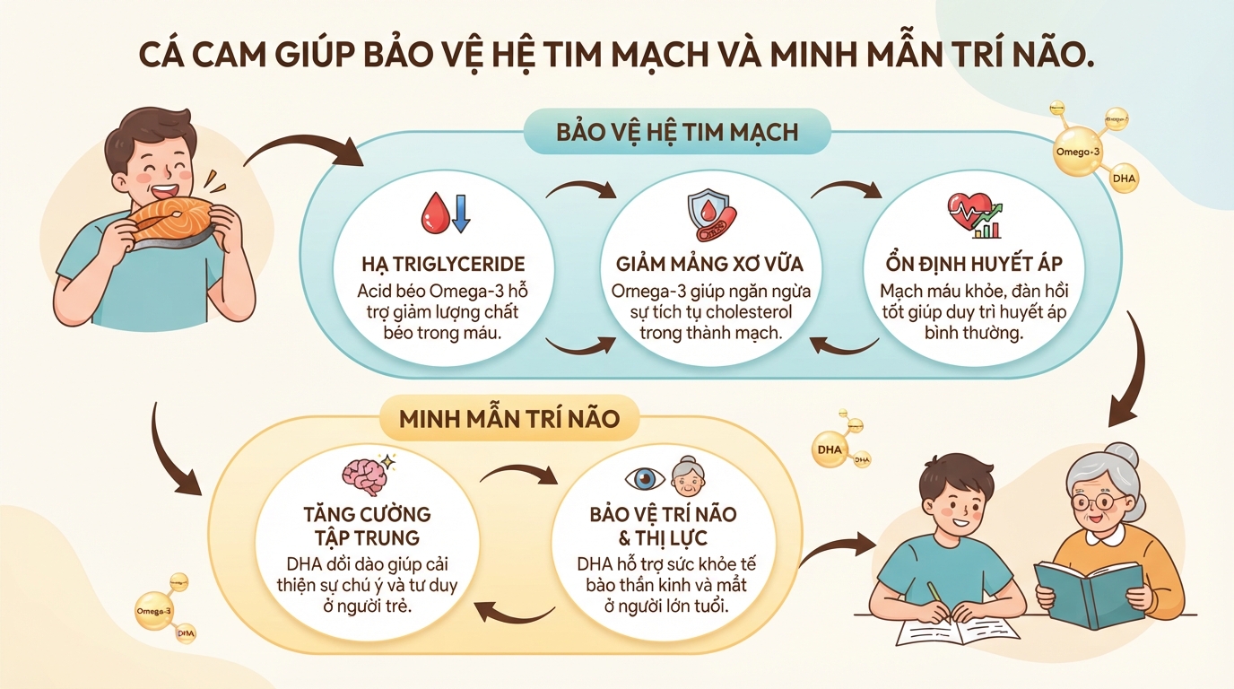 Cá cam: Giá trị dinh dưỡng và cách chế biến món ngon dễ làm