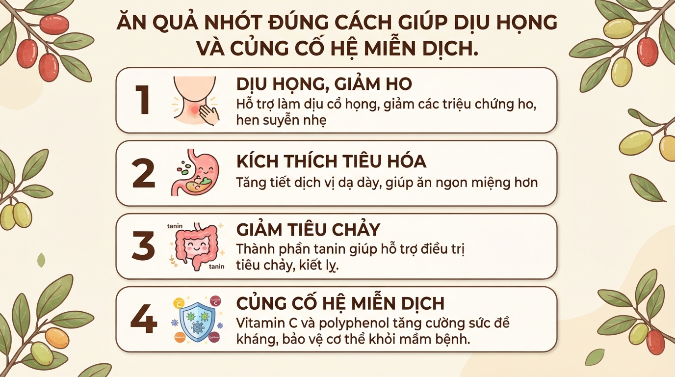 Quả nhót có tác dụng gì? Thành phần dinh dưỡng và cách dùng