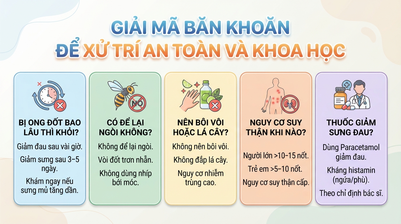 Bị ong bắp cày đốt có độc không? Cách sơ cứu an toàn