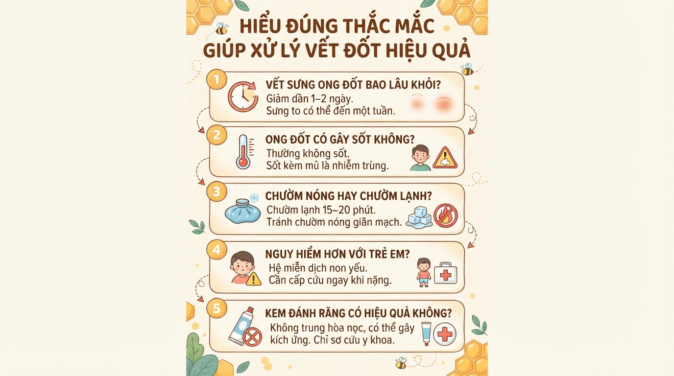 Bị ong đốt nên làm gì? Cách sơ cứu và xử lý vết thương hiệu quả tại nhà