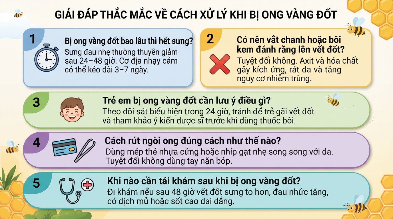 Bị ong vàng đốt có sao không? Cách sơ cứu và dấu hiệu cần cấp cứu