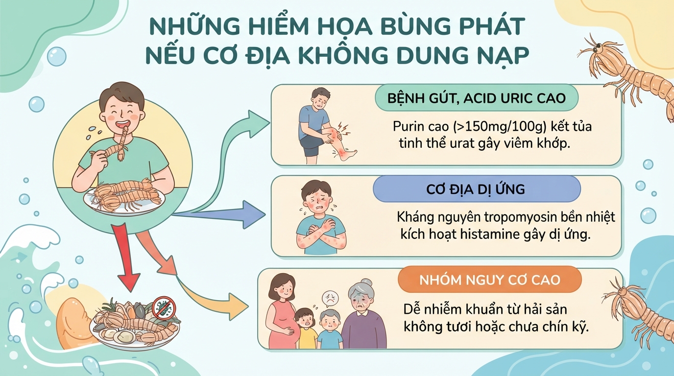 Tôm tít có tác dụng gì? Giá trị dinh dưỡng và lưu ý khi ăn