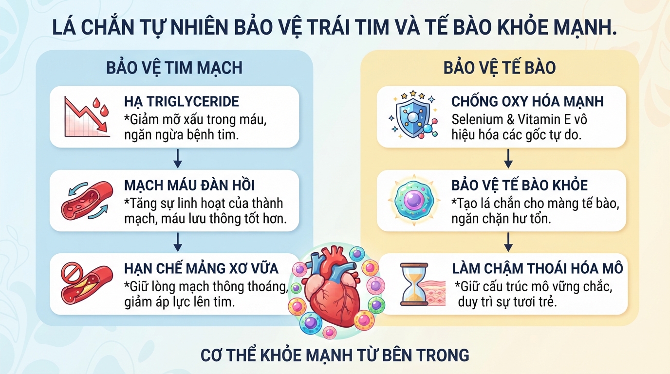 Cá mặt trăng Opah là gì? Giá trị dinh dưỡng, lợi ích và cách chế biến
