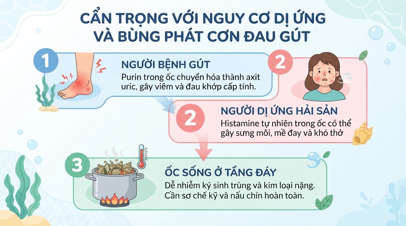 Ốc giác có tác dụng gì? Giá trị dinh dưỡng và lưu ý khi ăn