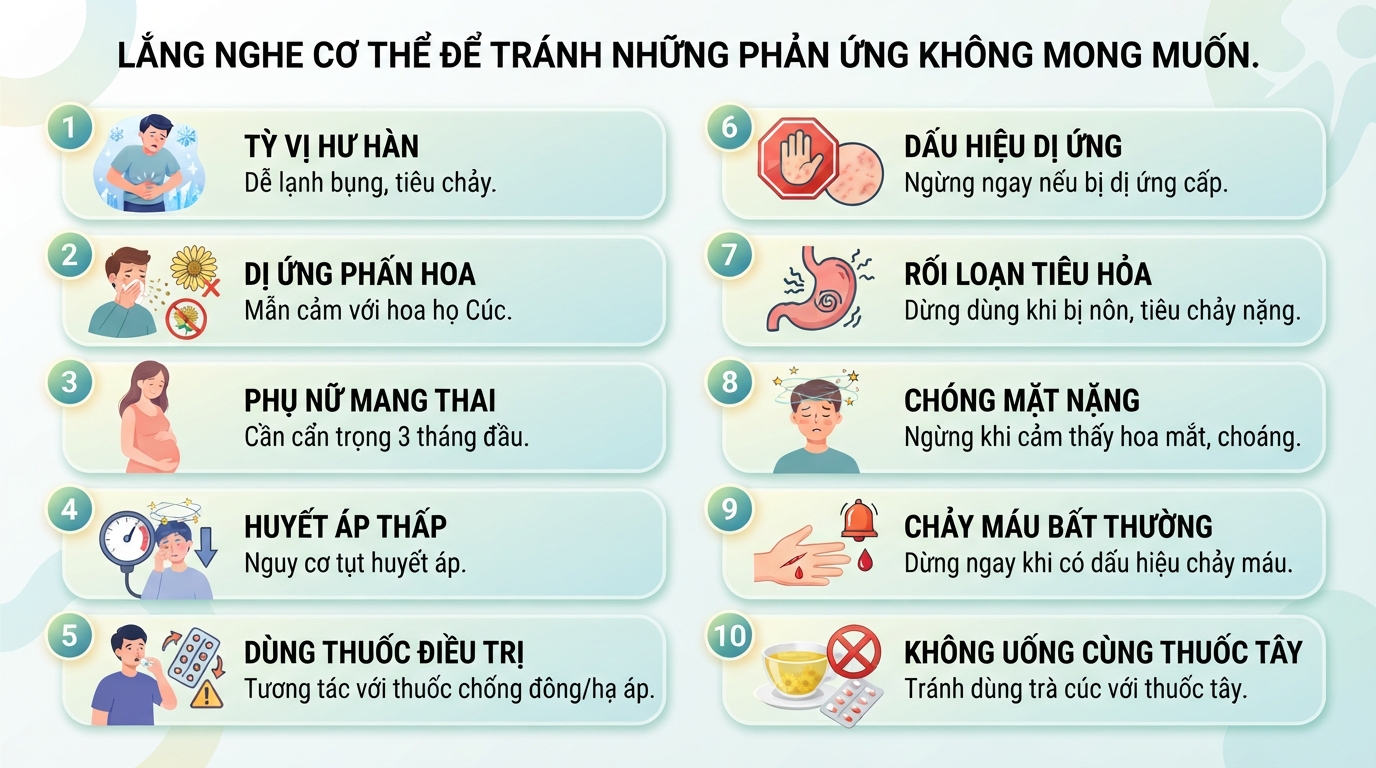 Bông cúc có tác dụng gì? Công dụng và lưu ý khi dùng
