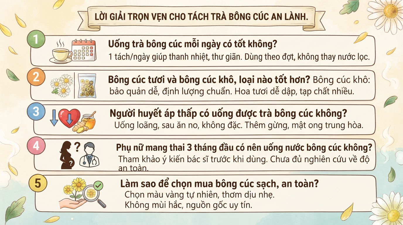 Bông cúc có tác dụng gì? Công dụng và lưu ý khi dùng