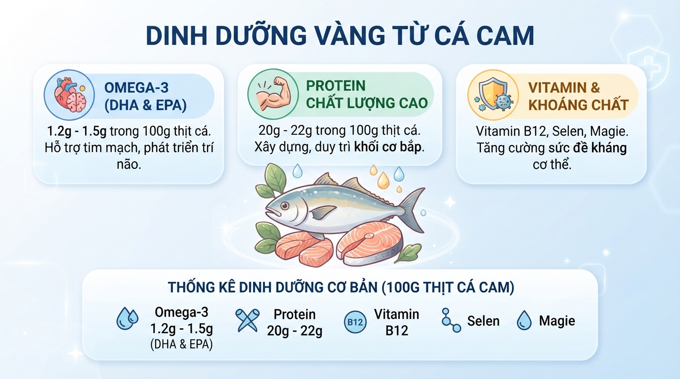 Cá cam chứa hàm lượng Omega-3 và protein cao hỗ trợ sức khỏe toàn diện.