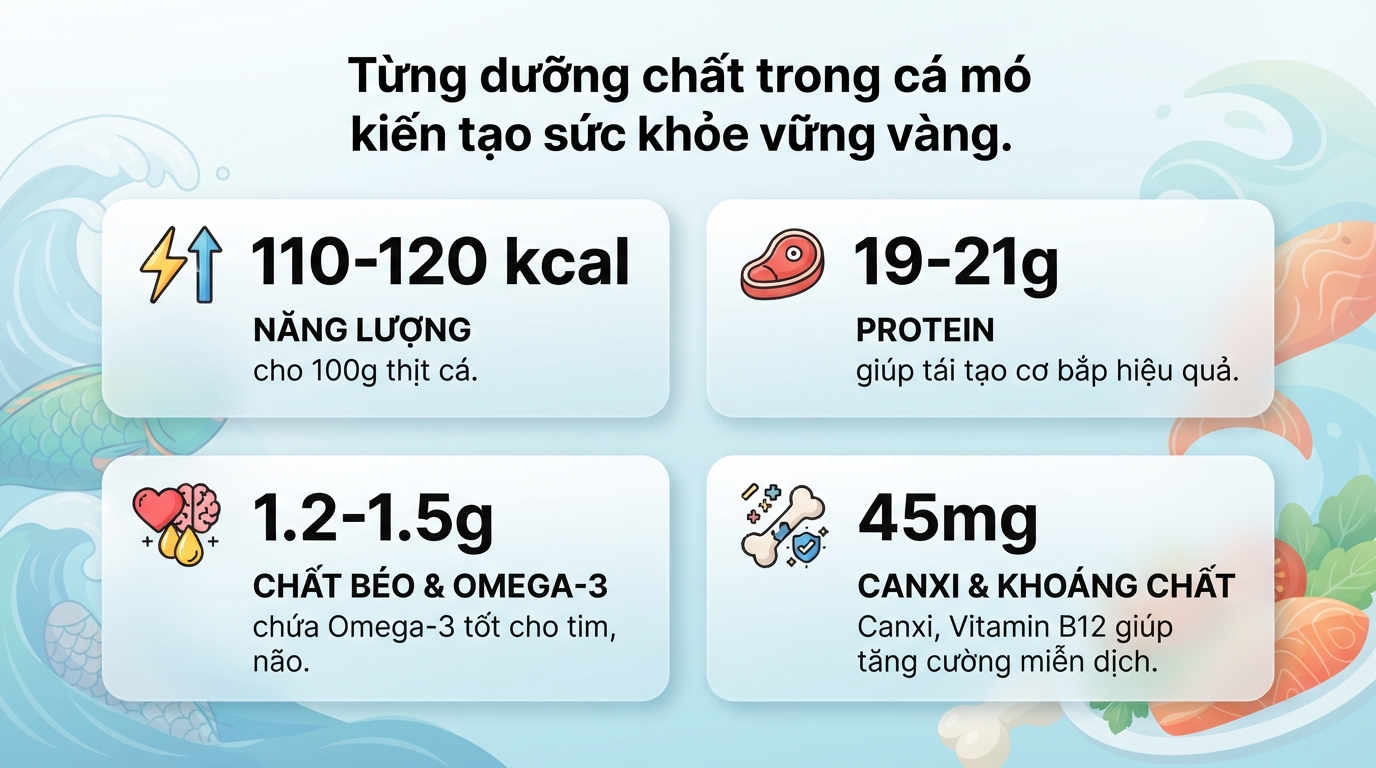 Cá mó (cá vẹt) có tốt không? Giá trị dinh dưỡng và tác dụng sức khỏe