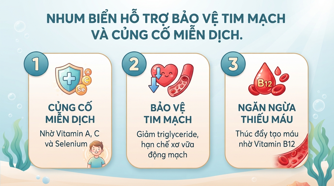 Nhum biển có tác dụng gì? 5 giá trị dinh dưỡng và lưu ý khi ăn