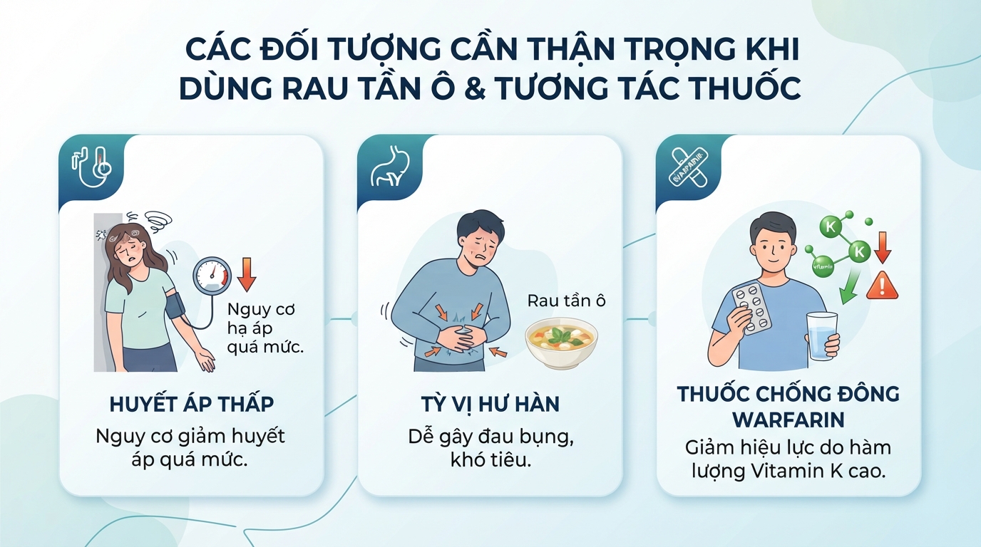 Các đối tượng cần thận trọng và nguy cơ tương tác thuốc khi sử dụng.