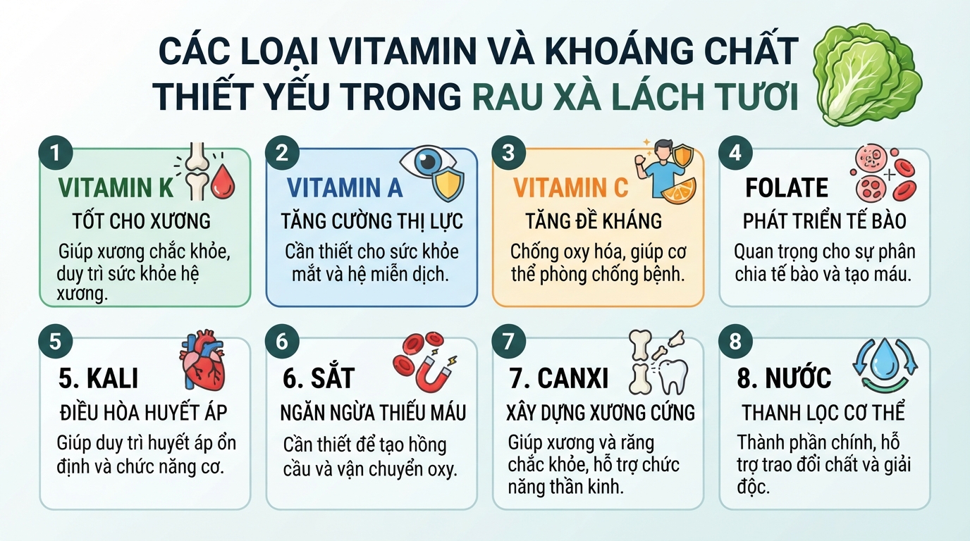 Các loại vitamin và khoáng chất thiết yếu có trong rau xà lách tươi.