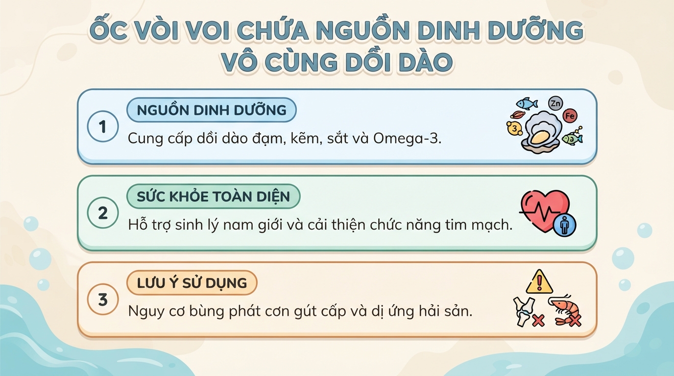 Ốc vòi voi là gì? Giá trị dinh dưỡng và lợi ích sức khỏe