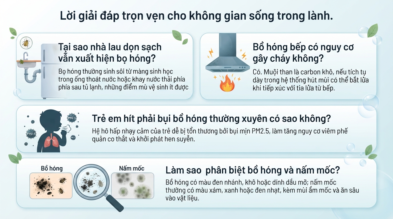 Cách đuổi bồ hóng, diệt bọ hóng hiệu quả để bảo vệ sức khỏe gia đình