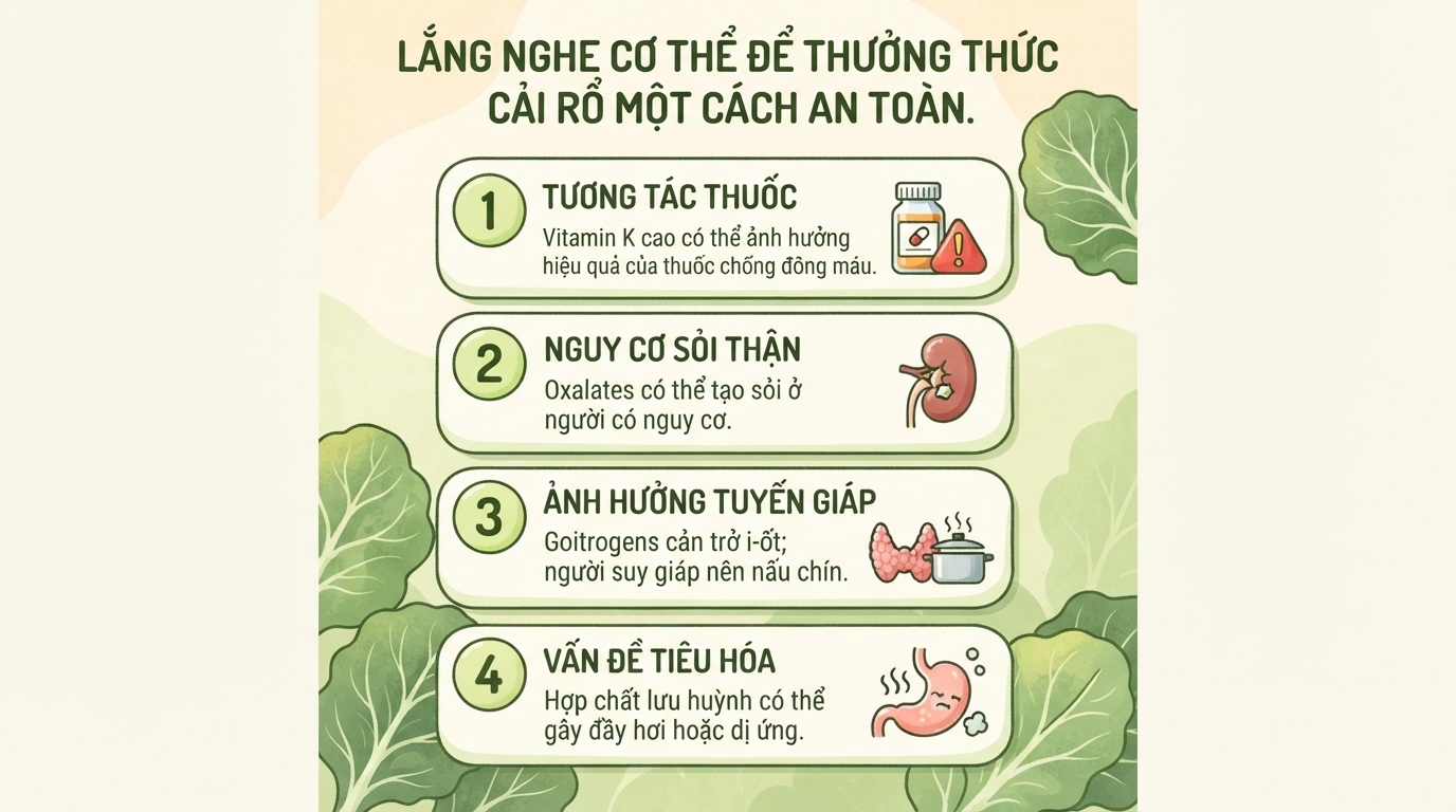 Cải rổ là gì? 7 tác dụng của rau cải rổ với sức khỏe và lưu ý khi dùng