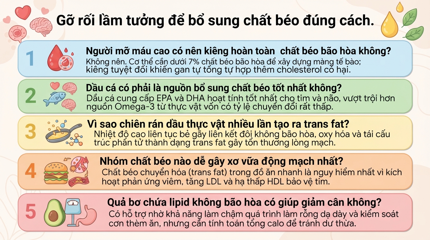 Chất béo là gì? Phân loại, vai trò và cách bổ sung tốt cho sức khỏe